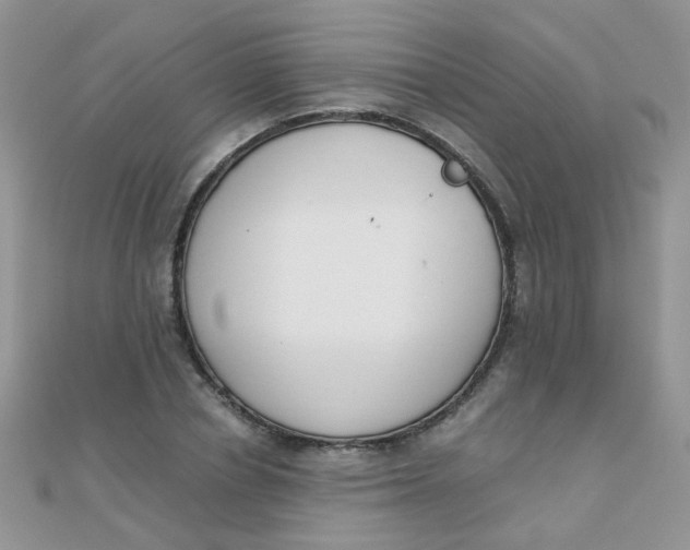 X0000110320834200906042042