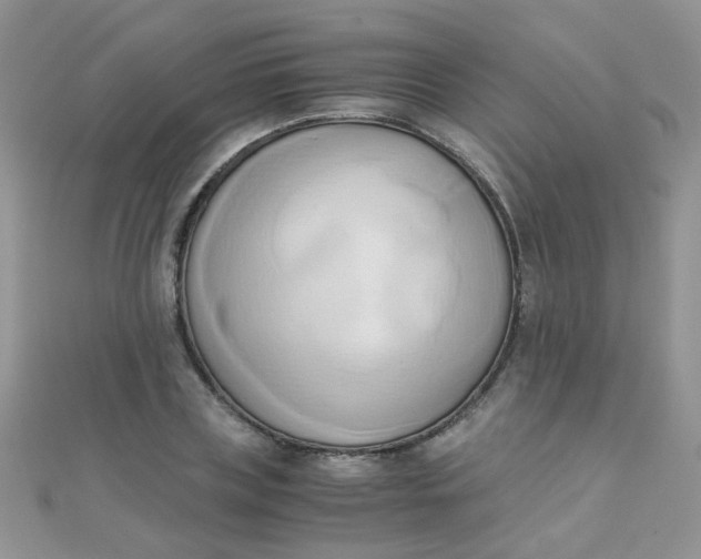 X0000110320835200906042042