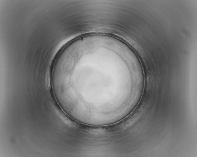 X0000110320838200906042042