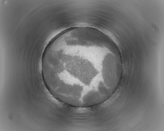 X0000110320839200906042042