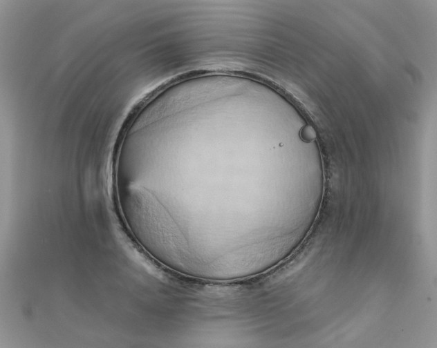 X0000110320840200906042042