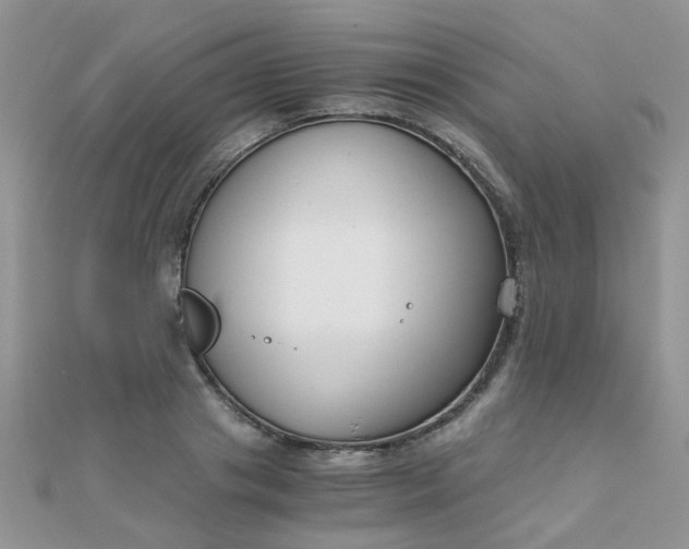 X0000110320841200906042042