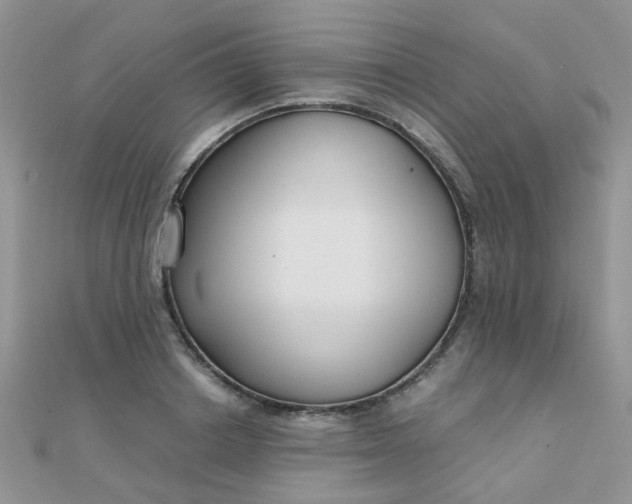 X0000110320842200906042042