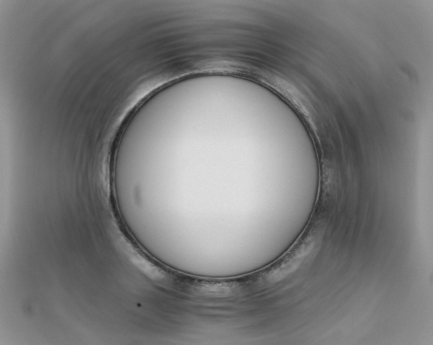 X0000110320843200906042042