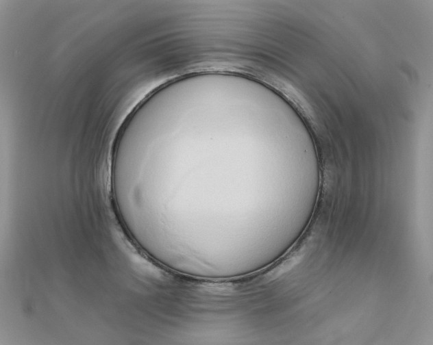 X0000110320844200906042042