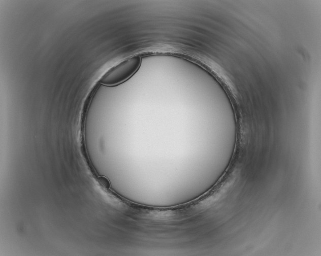 X0000110320845200906042042