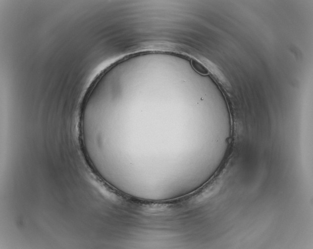 X0000110320846200906042042