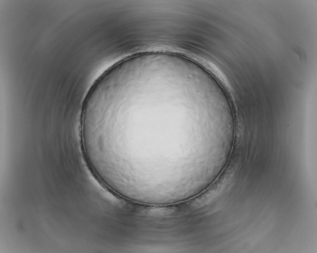 X0000110320847200906042042