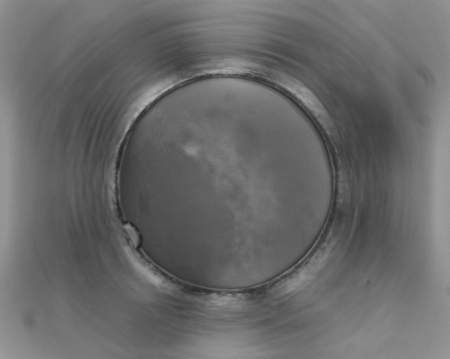 X0000110320850200906042042