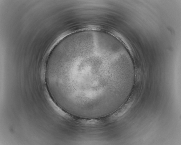 X0000110320851200906042042