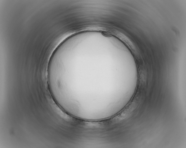 X0000110320852200906042042