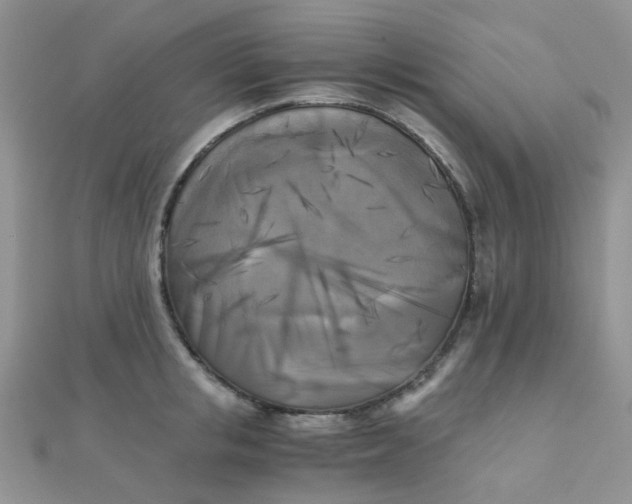 X0000110320853200906042042