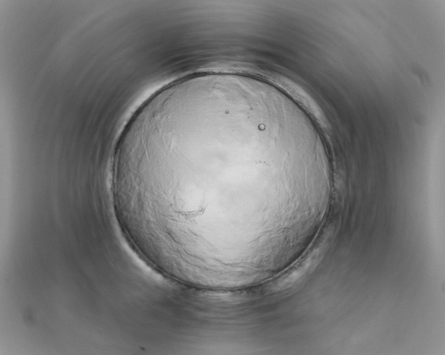 X0000110320855200906042042