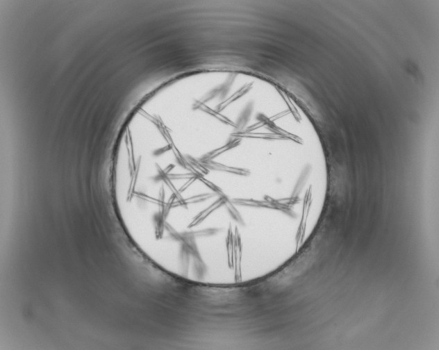 X0000110320856200906042042