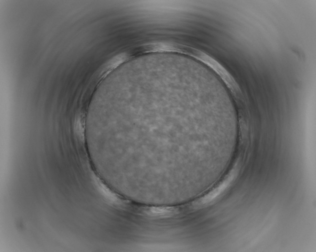 X0000110320857200906042042