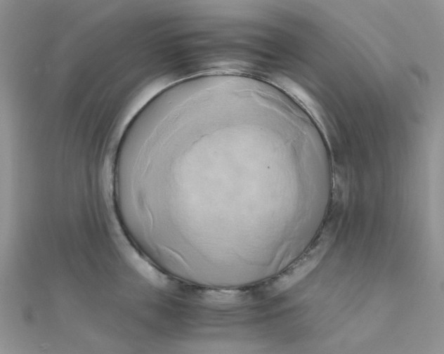 X0000110320859200906042042