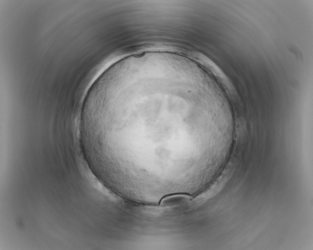 X0000110320860200906042042