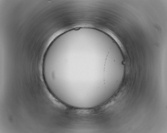 X0000110320861200906042042