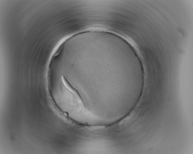 X0000110320864200906042042