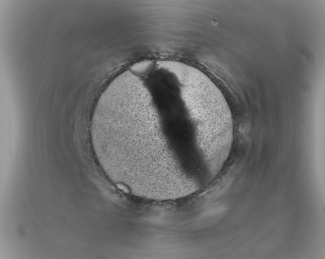 X0000110320865200906042041