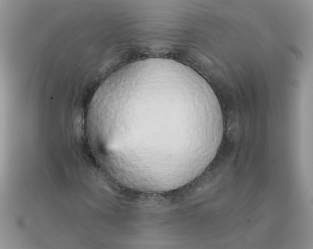 X0000110320866200906042041