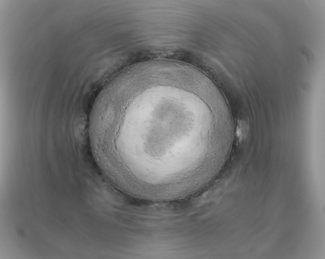 X0000110320867200906042041