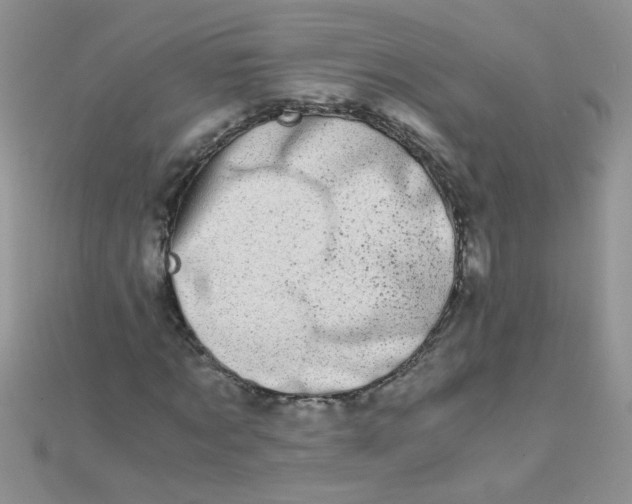 X0000110320869200906042041