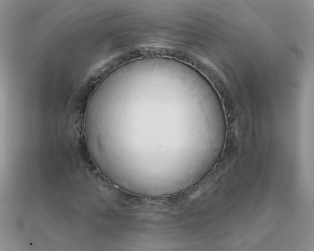 X0000110320870200906042041