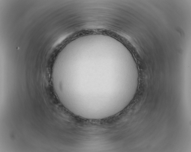 X0000110320871200906042041