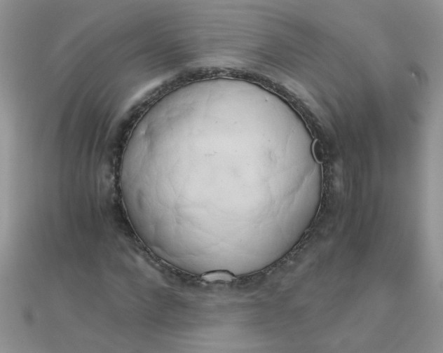 X0000110320872200906042041