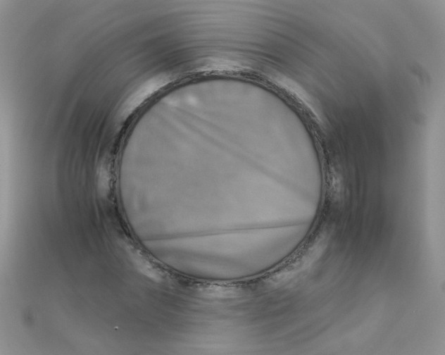 X0000110320874200906042041