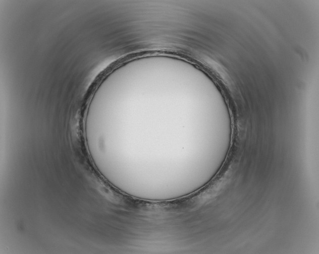 X0000110320875200906042041