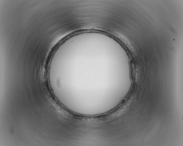 X0000110320876200906042041