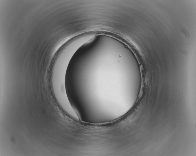 X0000110320877200906042041