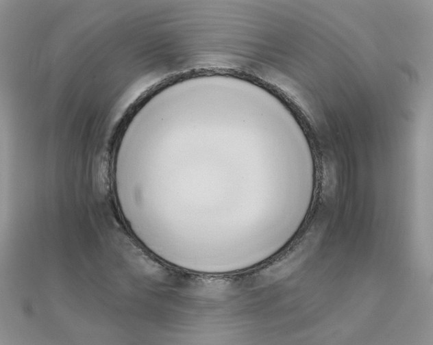 X0000110320878200906042041