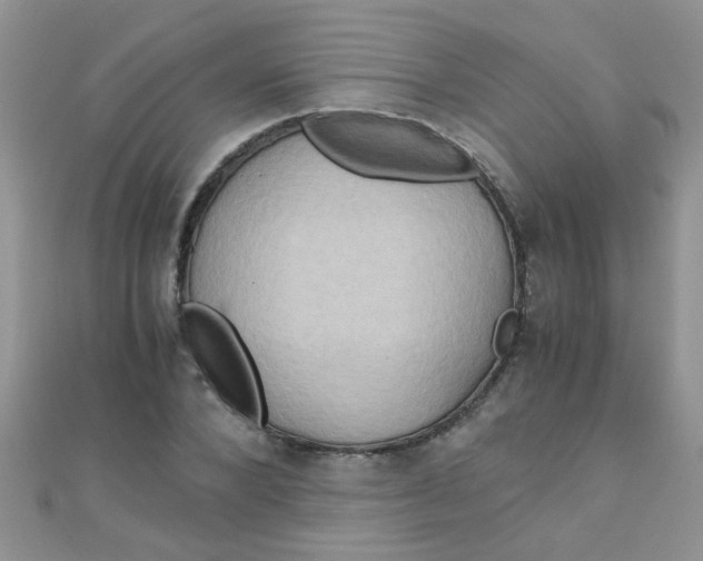 X0000110320880200906042041