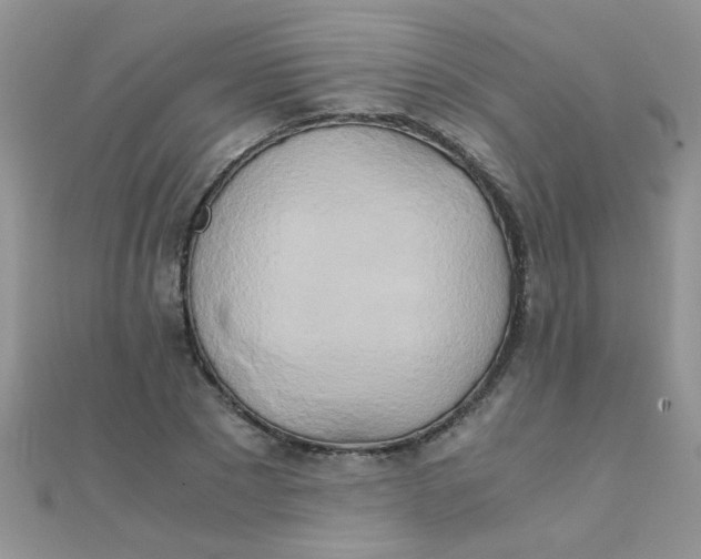 X0000110320881200906042041