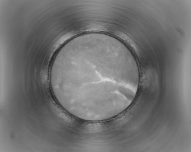 X0000110320882200906042041