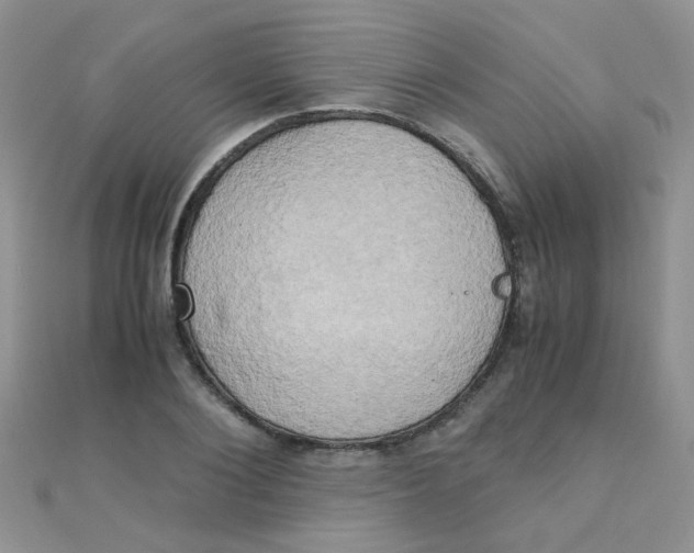 X0000110320884200906042041