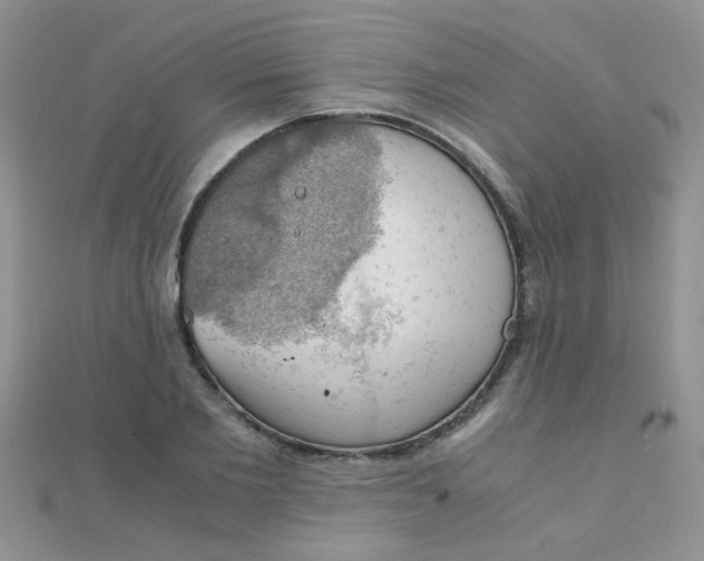 X0000110320885200906042041