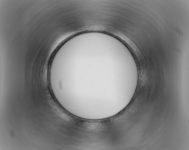 X0000110320886200906042041