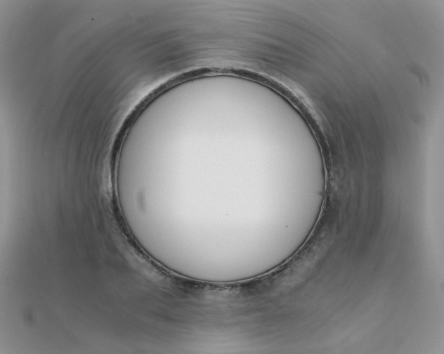 X0000110320887200906042041