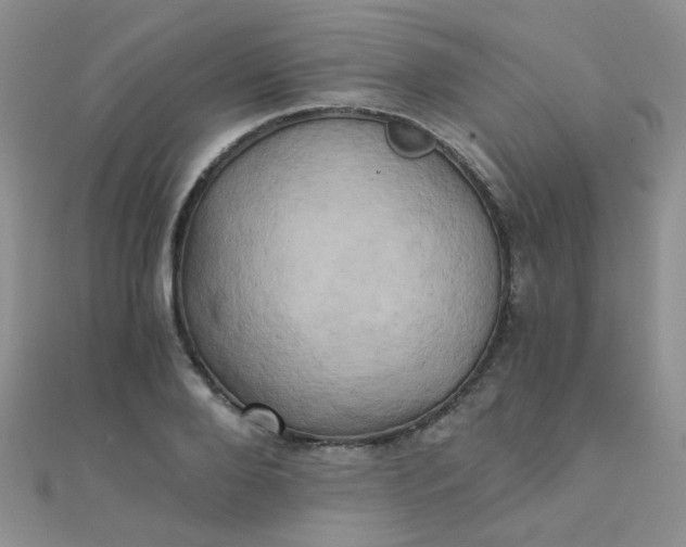 X0000110320888200906042041