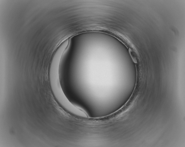 X0000110320889200906042041