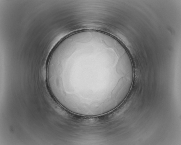 X0000110320891200906042041