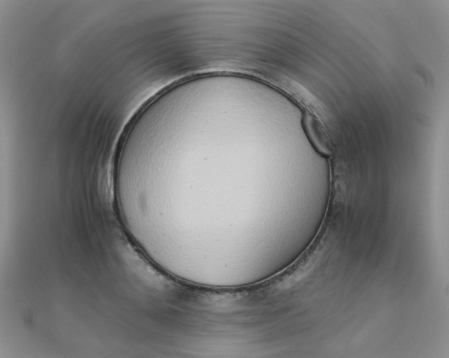 X0000110320892200906042041