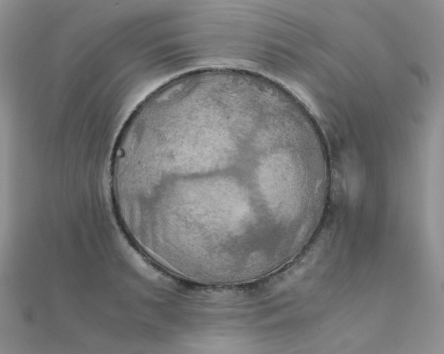 X0000110320895200906042041