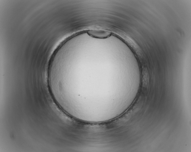 X0000110320896200906042041