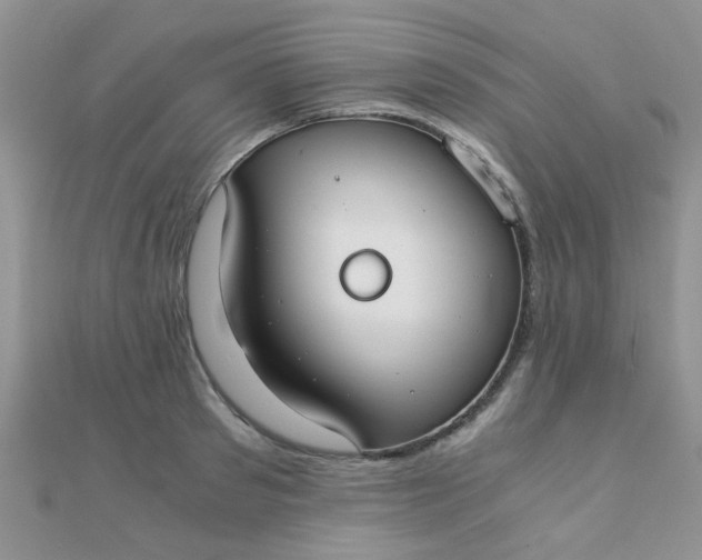 X0000110320897200906042041