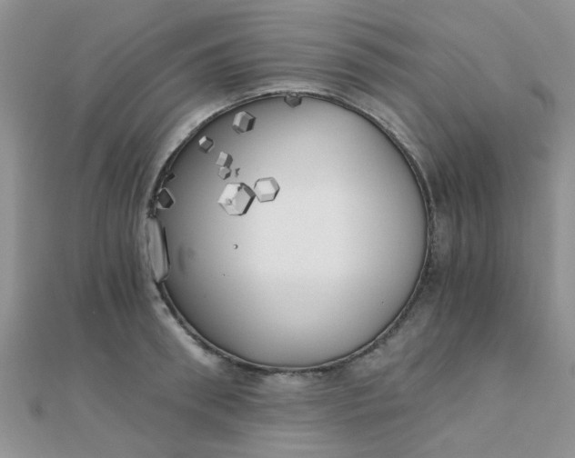 X0000110320898200906042041